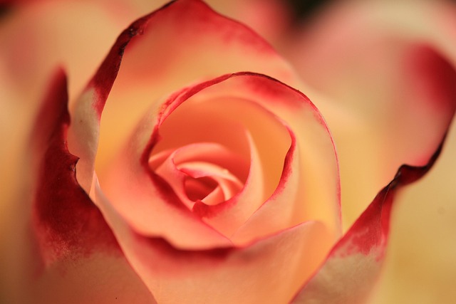 romantic