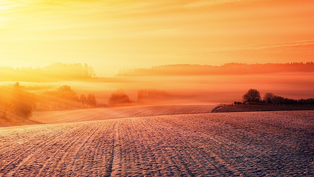 landscape