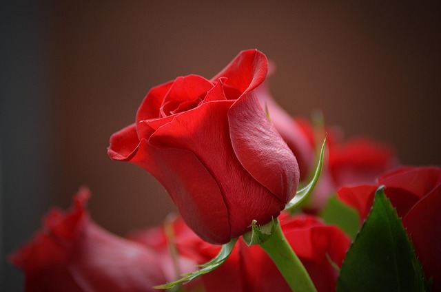 romantic