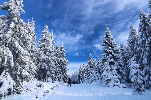 winter